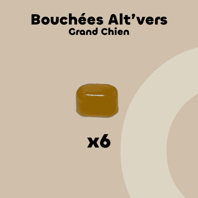 ALT'VERS - GRANDS CHIENS 