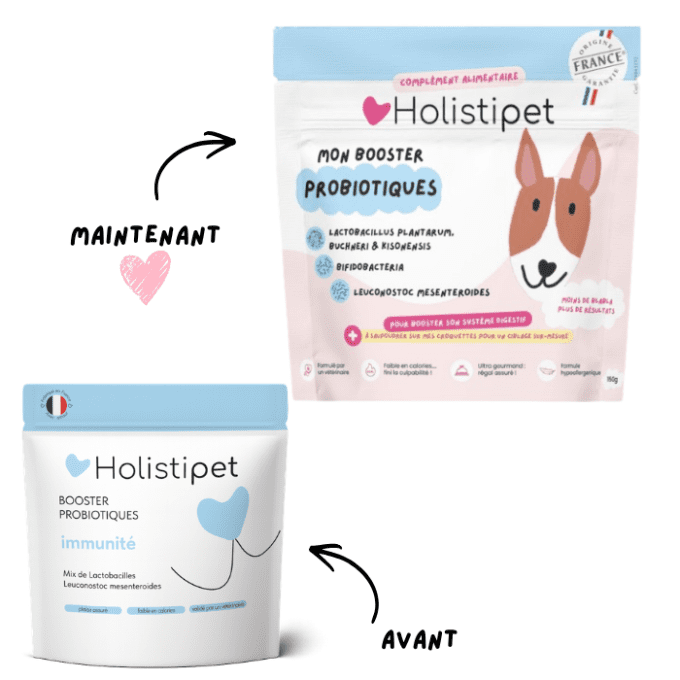 BOOSTER PROBIOTIQUE