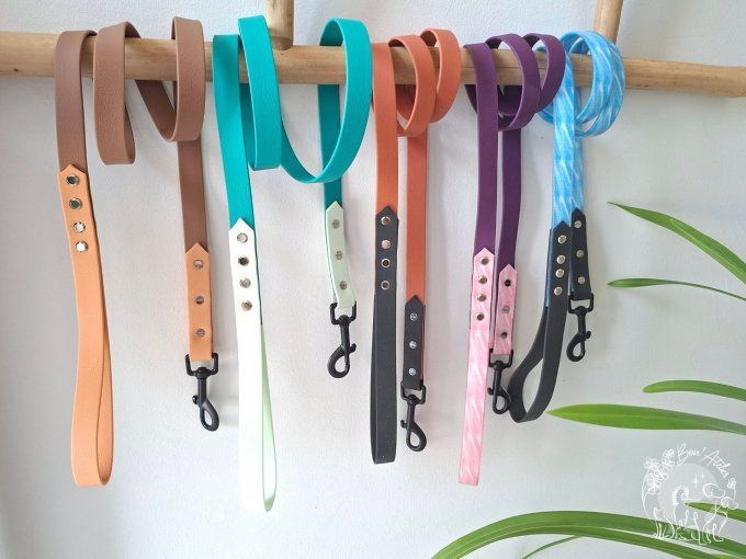 LAISSE BICOLORE en BIOTHANE®