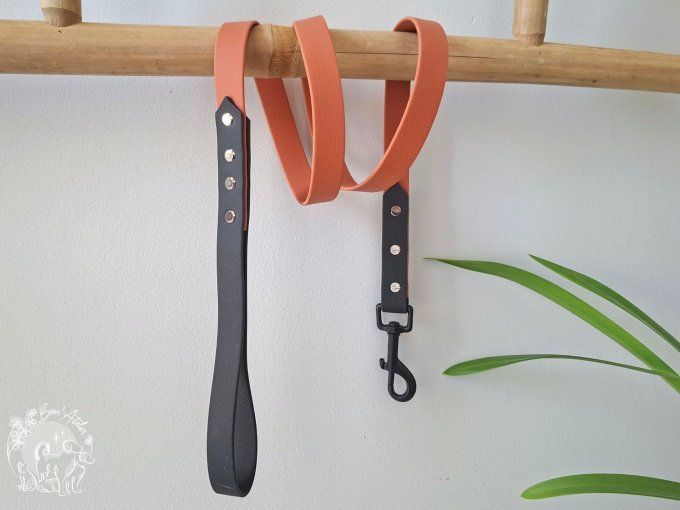 LAISSE BICOLORE en BIOTHANE®