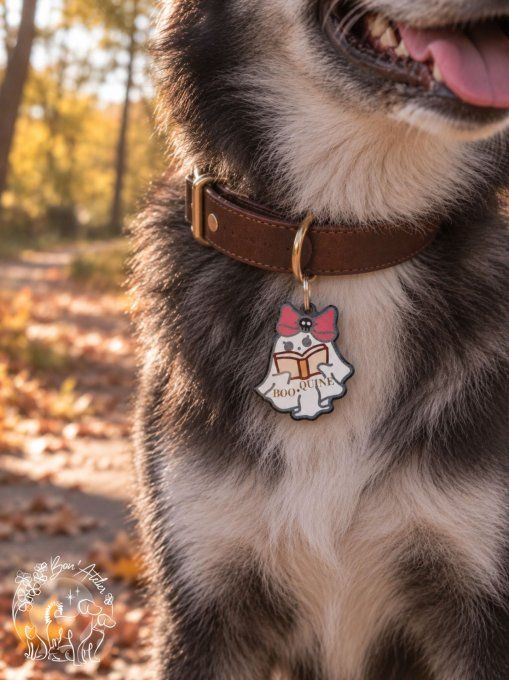 Médaille "BOO-QUINE"
