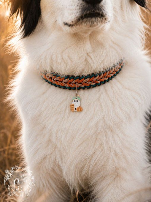 Médaille "BOO-RISTA"