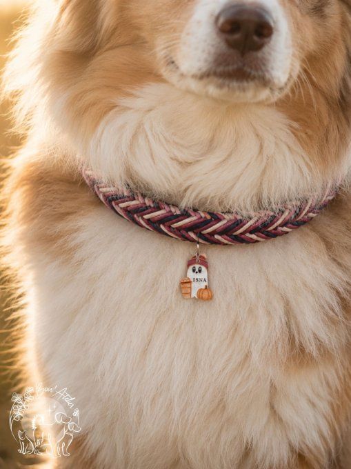 Médaille "BOO-RISTA"