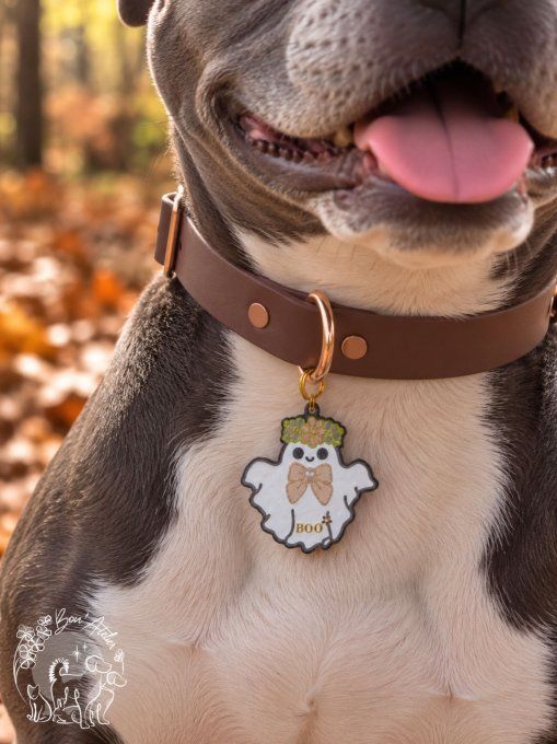 Médaille "BOO"