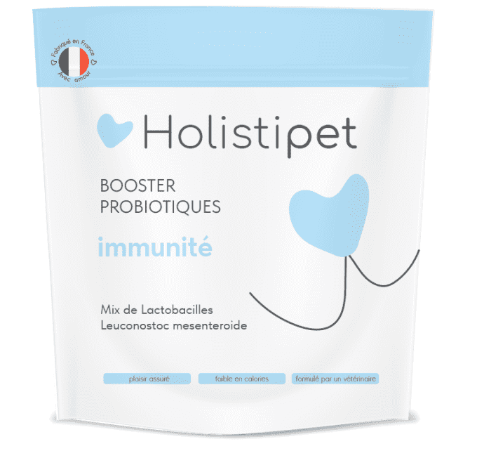 BOOSTER PROBIOTIQUE