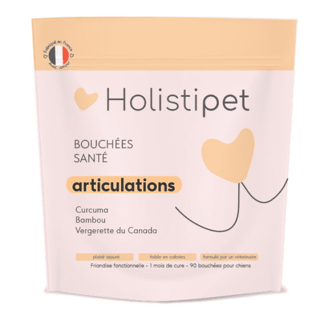 BOUCHEES ARTICULATIONS