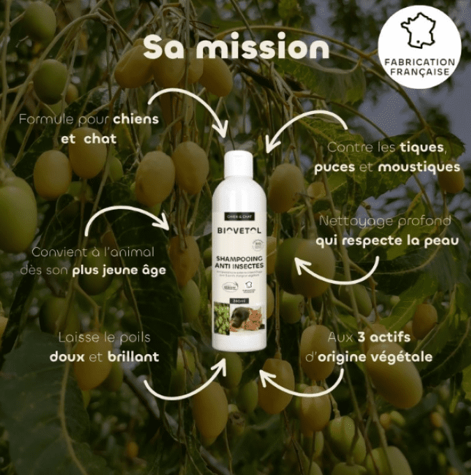 SHAMPOOING ANTI INSECTE BIO - CHIENS & CHATS