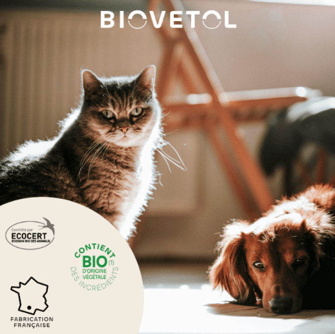 SHAMPOOING ANTI INSECTE BIO - CHIENS & CHATS