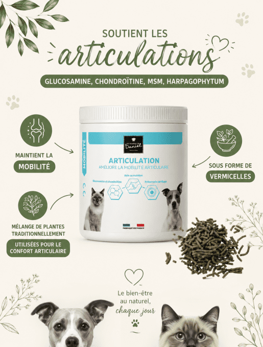 ARTICULATION - CHIENS  et CHATS