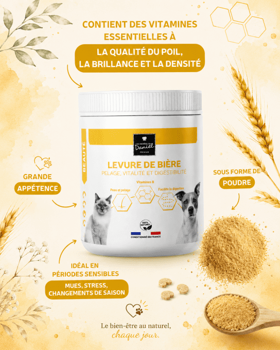 LEVURE DE BIERE