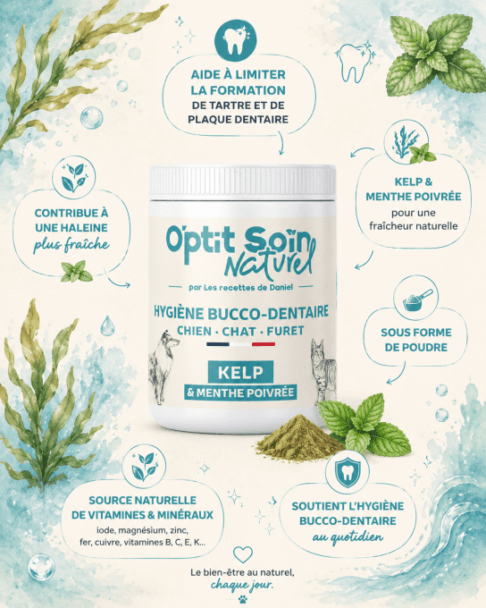 KELP - HYGIENE BUCCO DENTAIRE