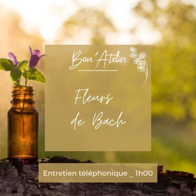 CONSEILS EN FLEURS DE BACH