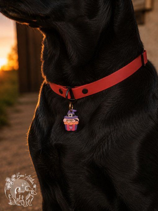 Médaille "CUPCAKE ENSORCELE"