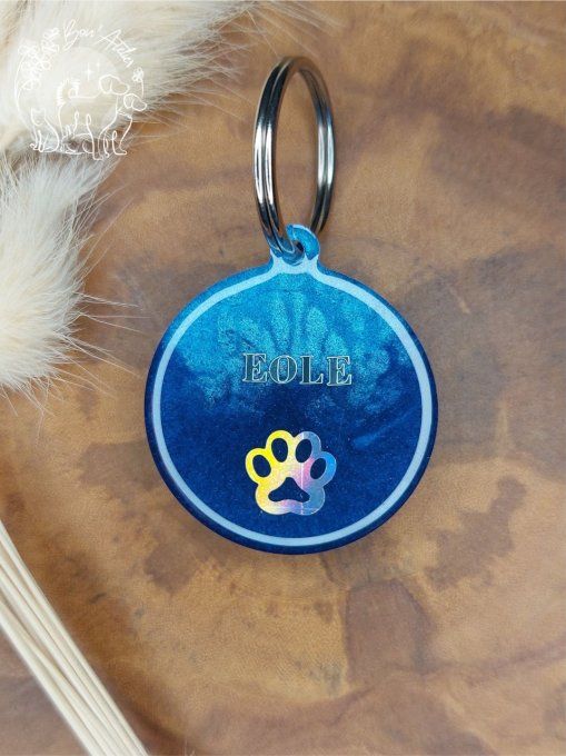 Médaille "EOLE"