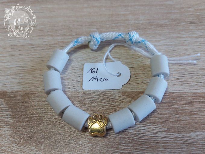 CHIENS _ COLLIER ANTI TIQUE & PUCE _ A adopter