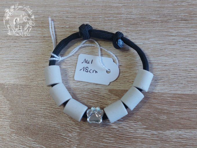 CHIENS _ COLLIER ANTI TIQUE & PUCE _ A adopter 