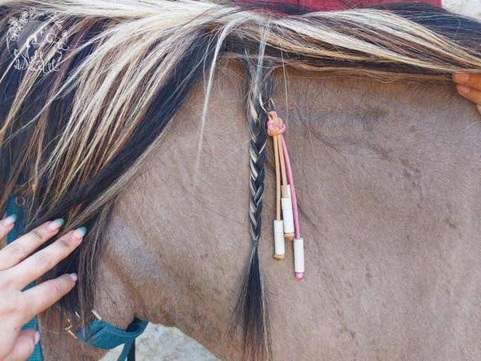 CHEVAL _ ACCROCHE CRINS ANTI TIQUE ET PUCE _ V2 _ Sur mesure