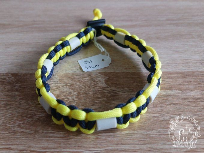 CHIENS _ COLLIER ANTI TIQUE & PUCE _ A adopter