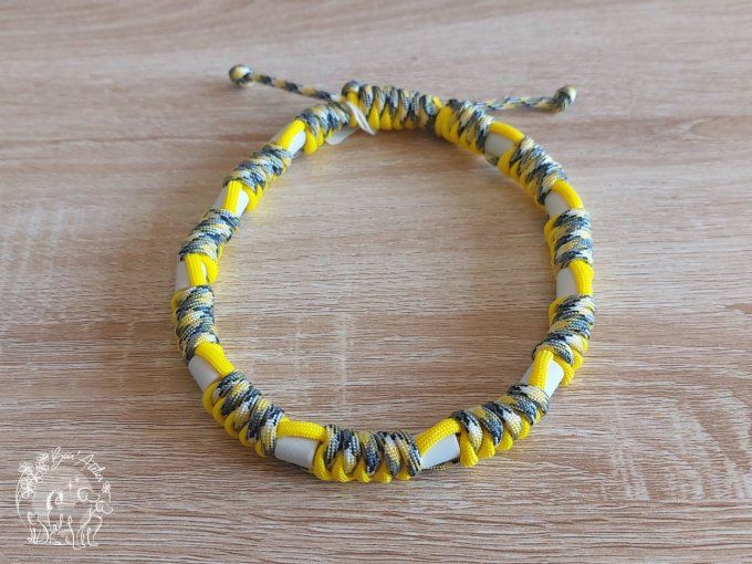 CHIENS _ COLLIER ANTI TIQUE & PUCE _ A adopter