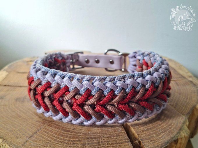 COLLIER REGLABLE "FALCO" - A adopter