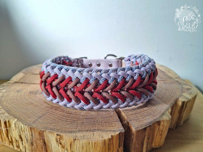 COLLIER REGLABLE "FALCO" - A adopter