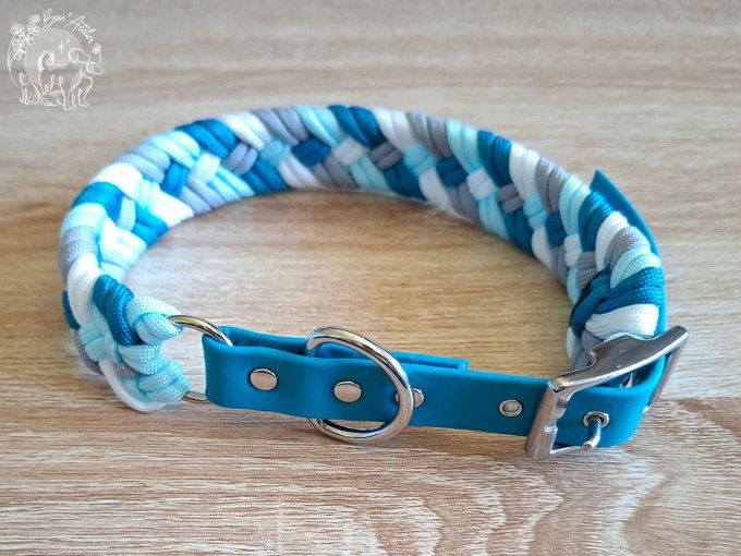 COLLIER REGLABLE "NOX" - A adopter 