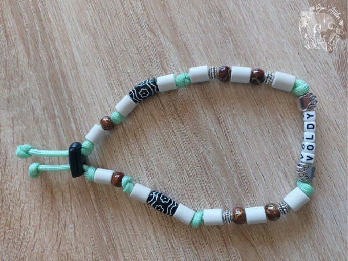 CHIENS _ COLLIER ANTI TIQUE & PUCE / MODELE FIN + PRENOM _ Sur mesure