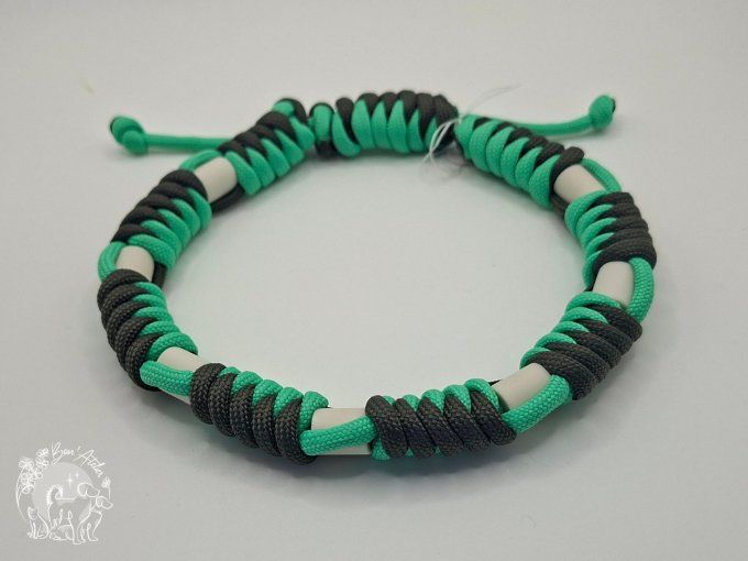 CHIENS _ COLLIER ANTI TIQUE & PUCE _ A adopter