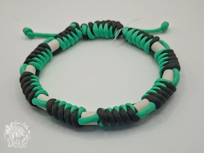 CHIENS _ COLLIER ANTI TIQUE & PUCE _ A adopter