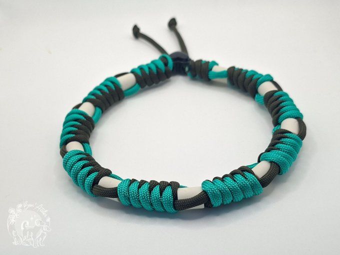 CHIENS _ COLLIER ANTI TIQUE & PUCE _ A adopter