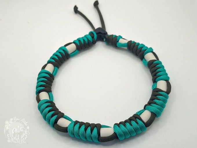 CHIENS _ COLLIER ANTI TIQUE & PUCE _ A adopter