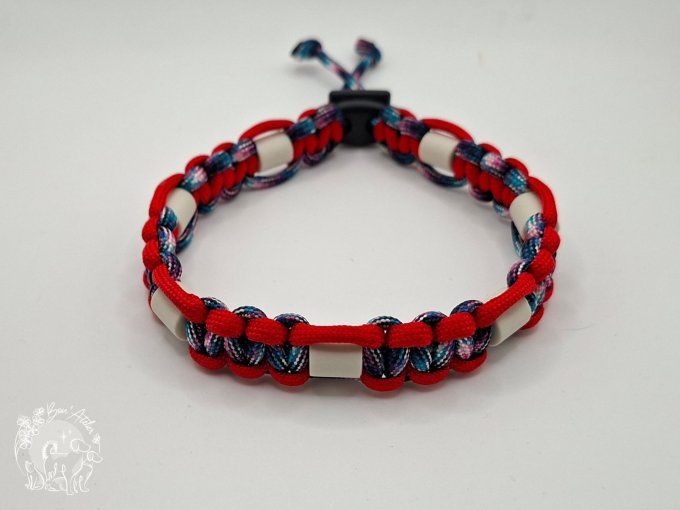 CHIENS _ COLLIER ANTI TIQUE & PUCE _ A adopter