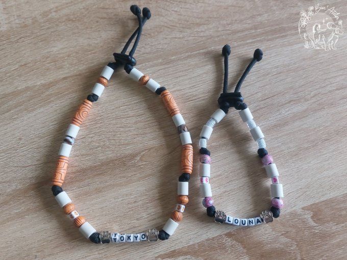 CHIENS _ COLLIER ANTI TIQUE & PUCE / MODELE FIN + PRENOM _ Sur mesure