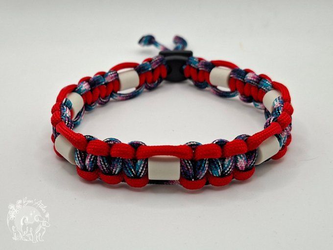 CHIENS _ COLLIER ANTI TIQUE & PUCE _ A adopter