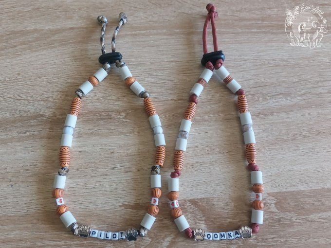 CHIENS _ COLLIER ANTI TIQUE & PUCE / MODELE FIN + PRENOM _ Sur mesure