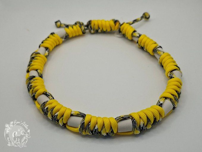 CHIENS _ COLLIER ANTI TIQUE & PUCE _ A adopter 