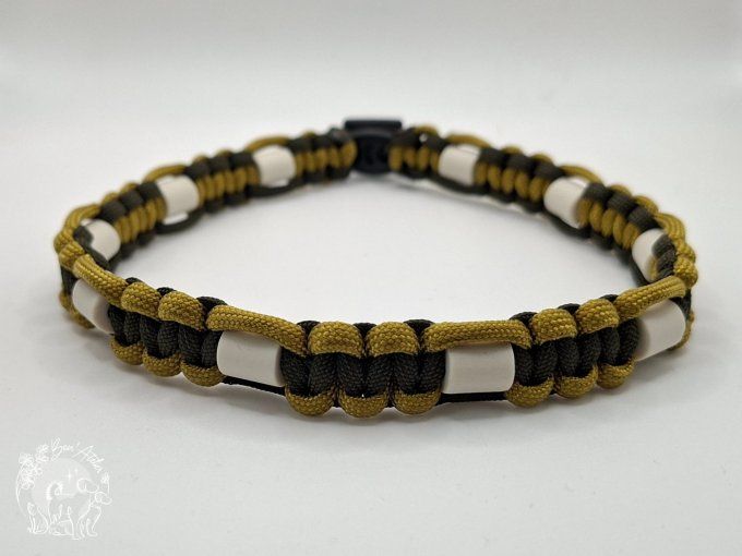 CHIENS _ COLLIER ANTI TIQUE & PUCE _ A adopter