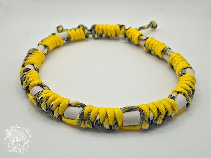 CHIENS _ COLLIER ANTI TIQUE & PUCE _ A adopter 