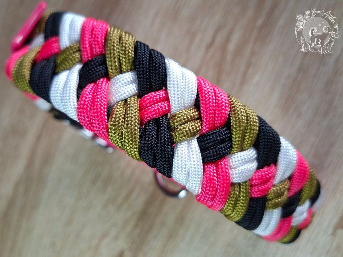 COLLIER REGLABLE "NOX" - A adopter 