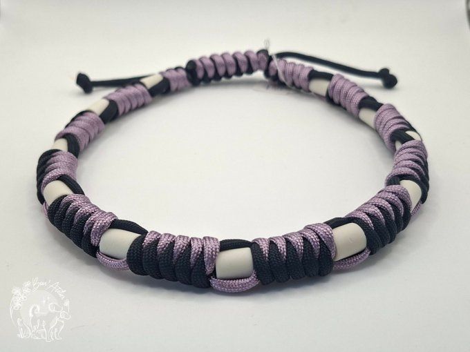 CHIENS _ COLLIER ANTI TIQUE & PUCE _ A adopter