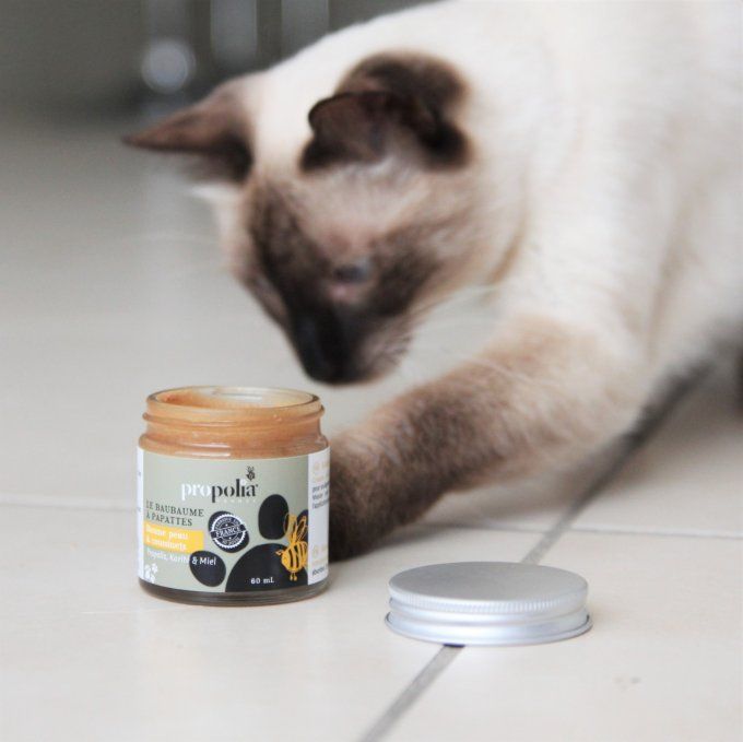 BAUME PEAU & COUSSINETS