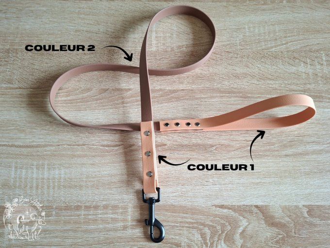 LAISSE BICOLORE en BIOTHANE®