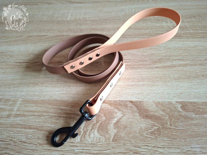 LAISSE BICOLORE en BIOTHANE®