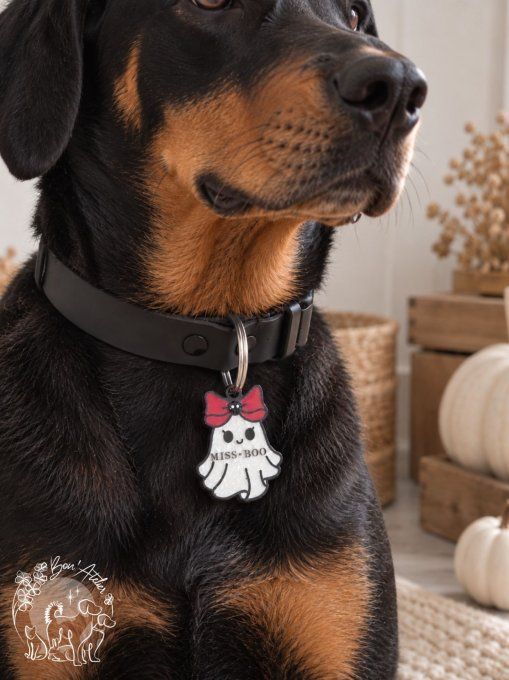 Médaille "MISS-BOO"