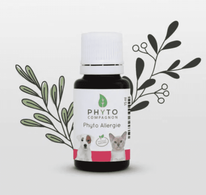 PHYTO ALLERGIE