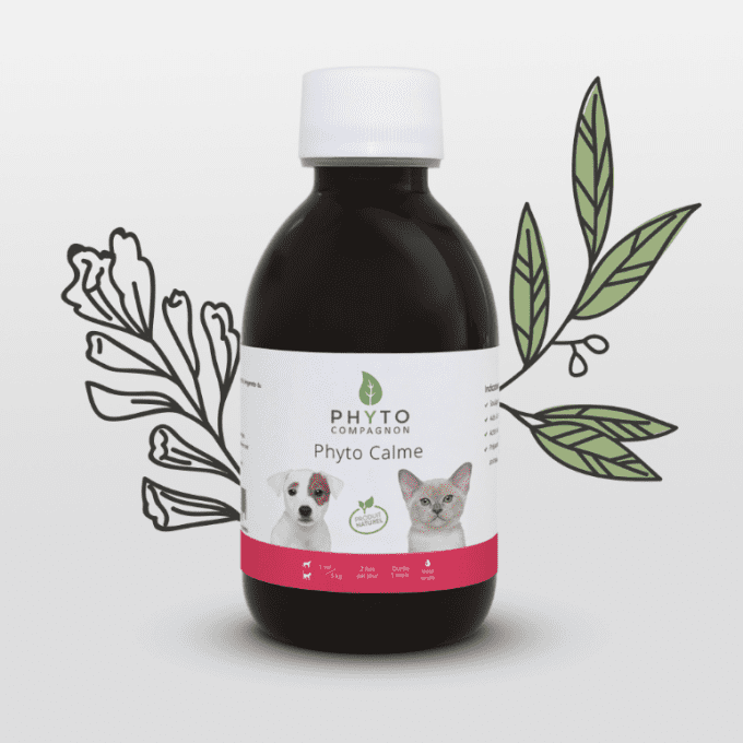 PHYTO CALME