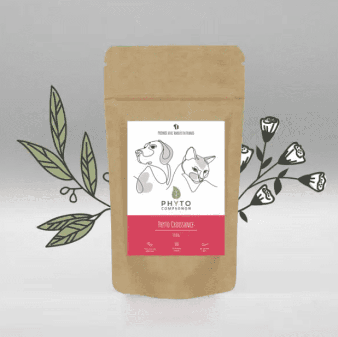 PHYTO CROISSANCE