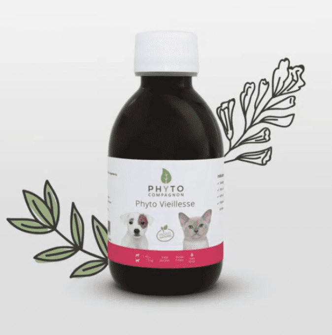 PHYTO VIEILLESSE