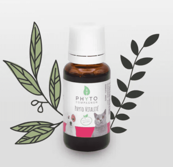 PHYTO VITALITE