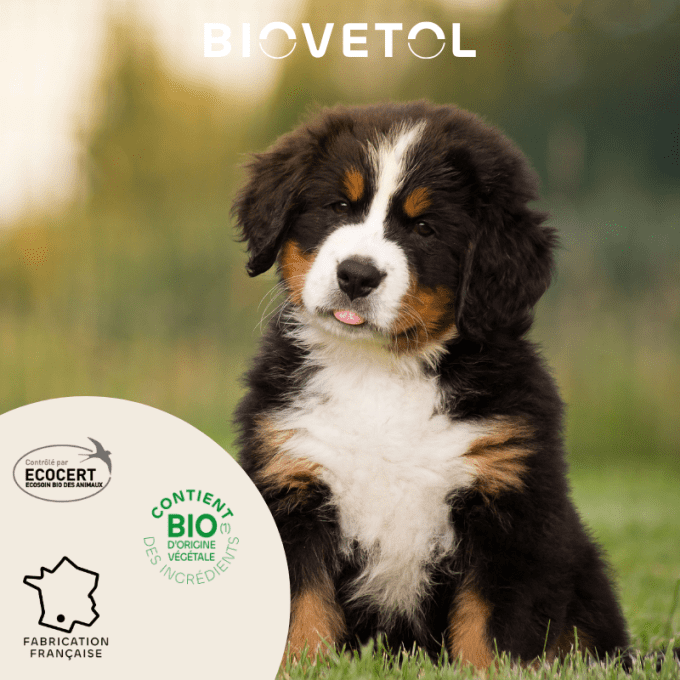 PIPETTES ANTI PARASITAIRE - CHIOTS & PETITS CHIENS